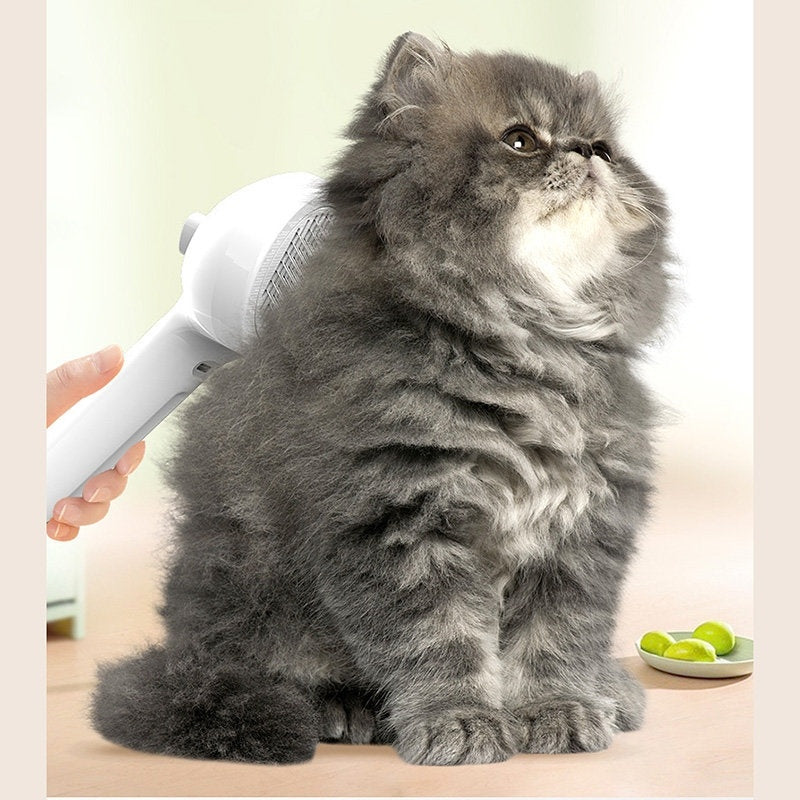 addio peli! la spazzola auto-pulente Piu veloce di sempre